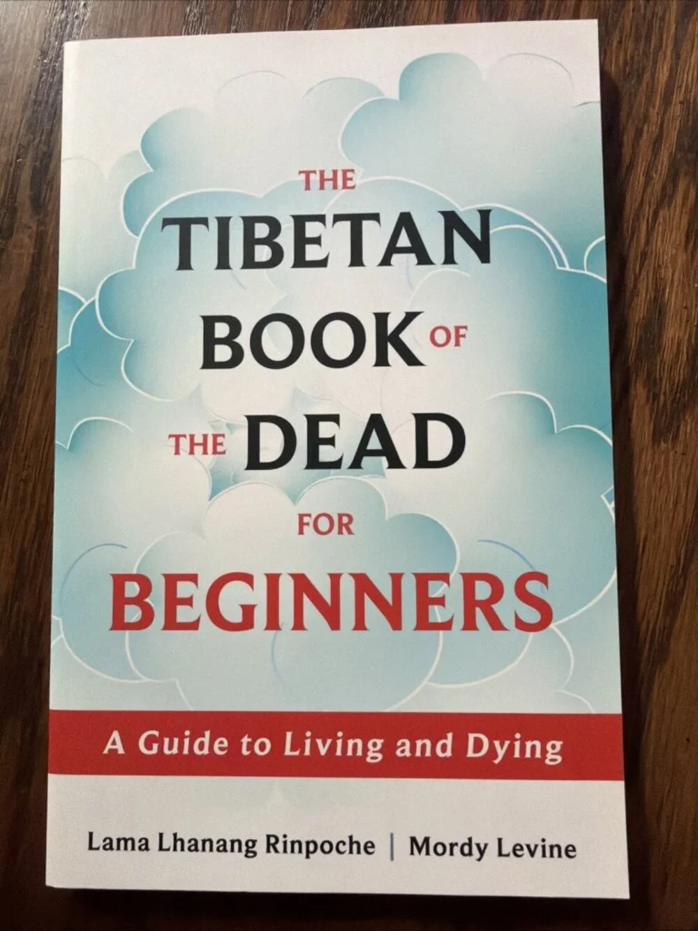 The Tibetan Book of the Dead for Beginners: A Guide to Living and Dying